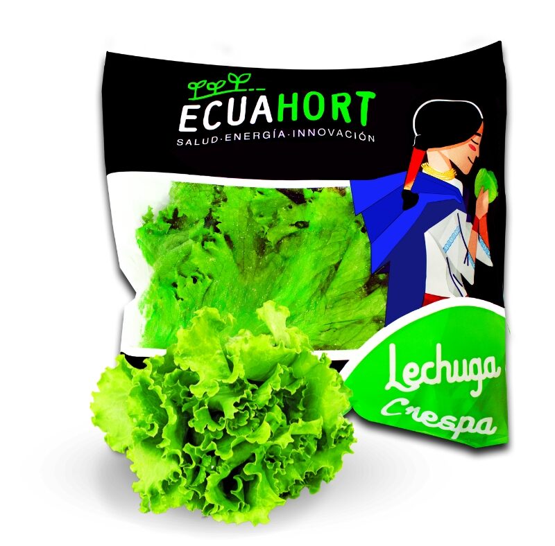 Lechuga Crespa