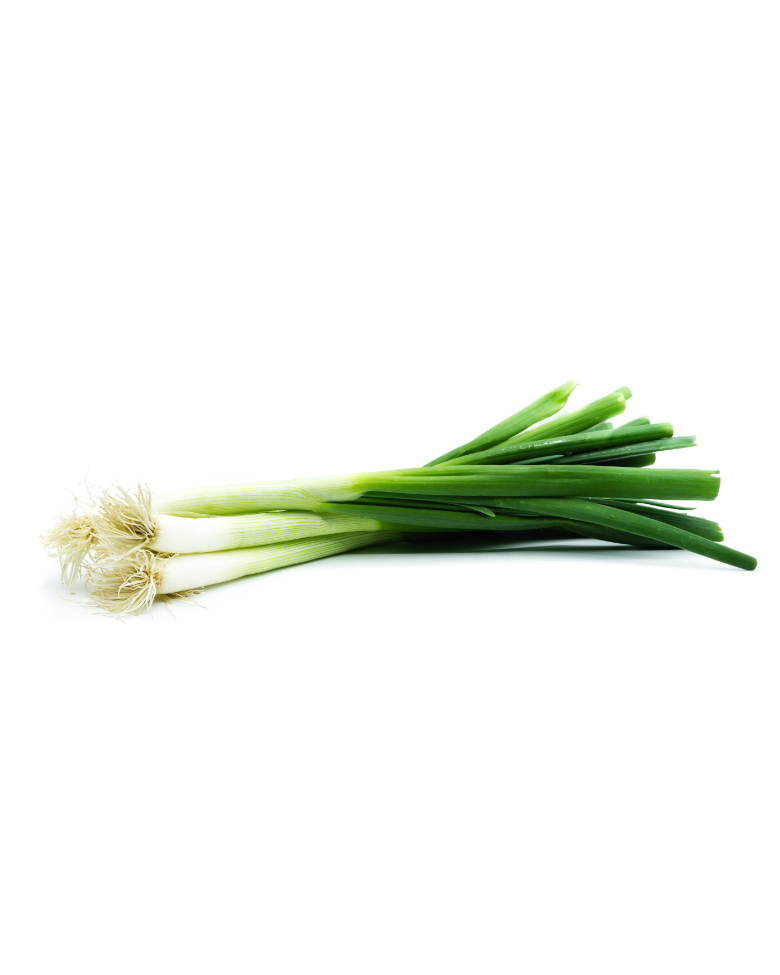 Cebolla blanca - Producto Ecuahort